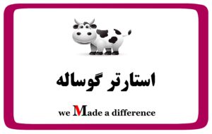 استارتر گوساله