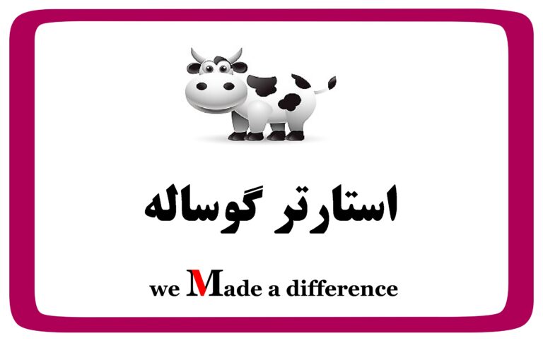 استارتر گوساله
