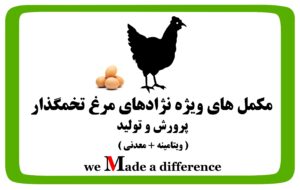 مکمل مرغ تخمگذار