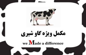 مکمل ویژه گاو شیری